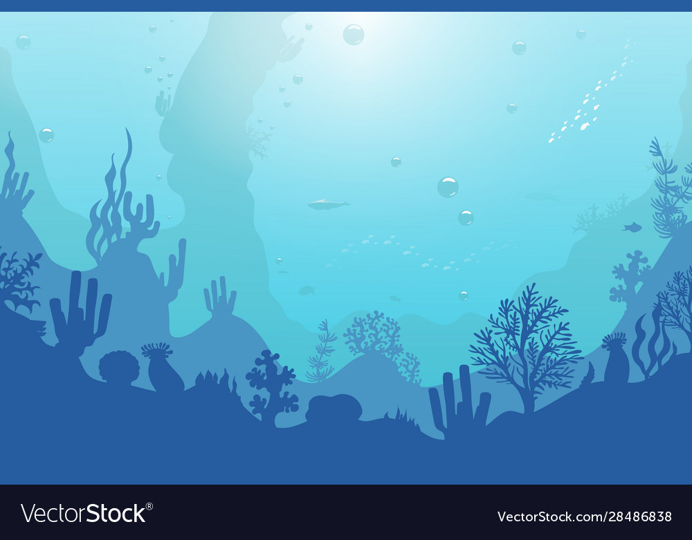 Ocean Reef Background