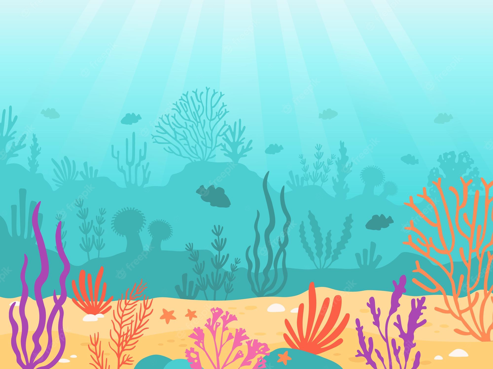 Ocean Reef Background