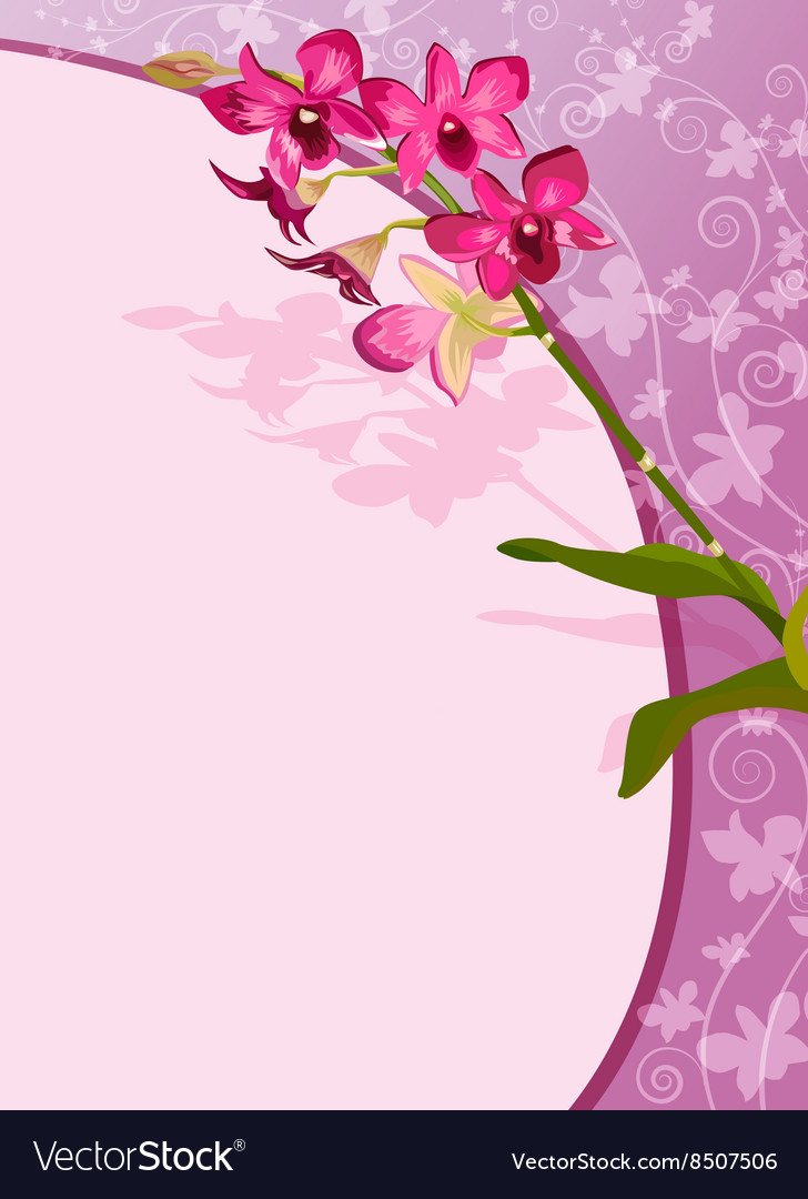 Orchids Background