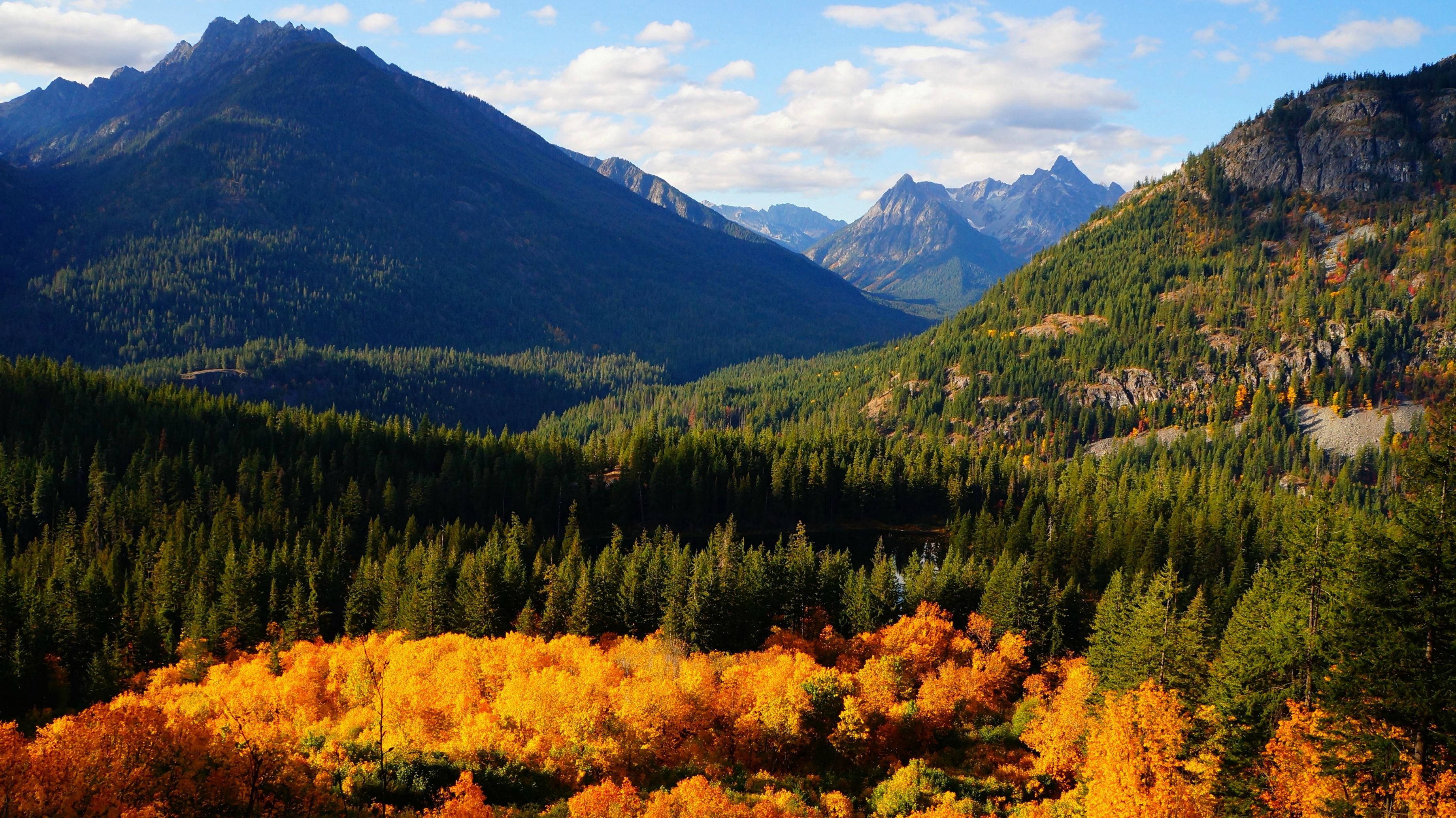 Pacific Northwest Background