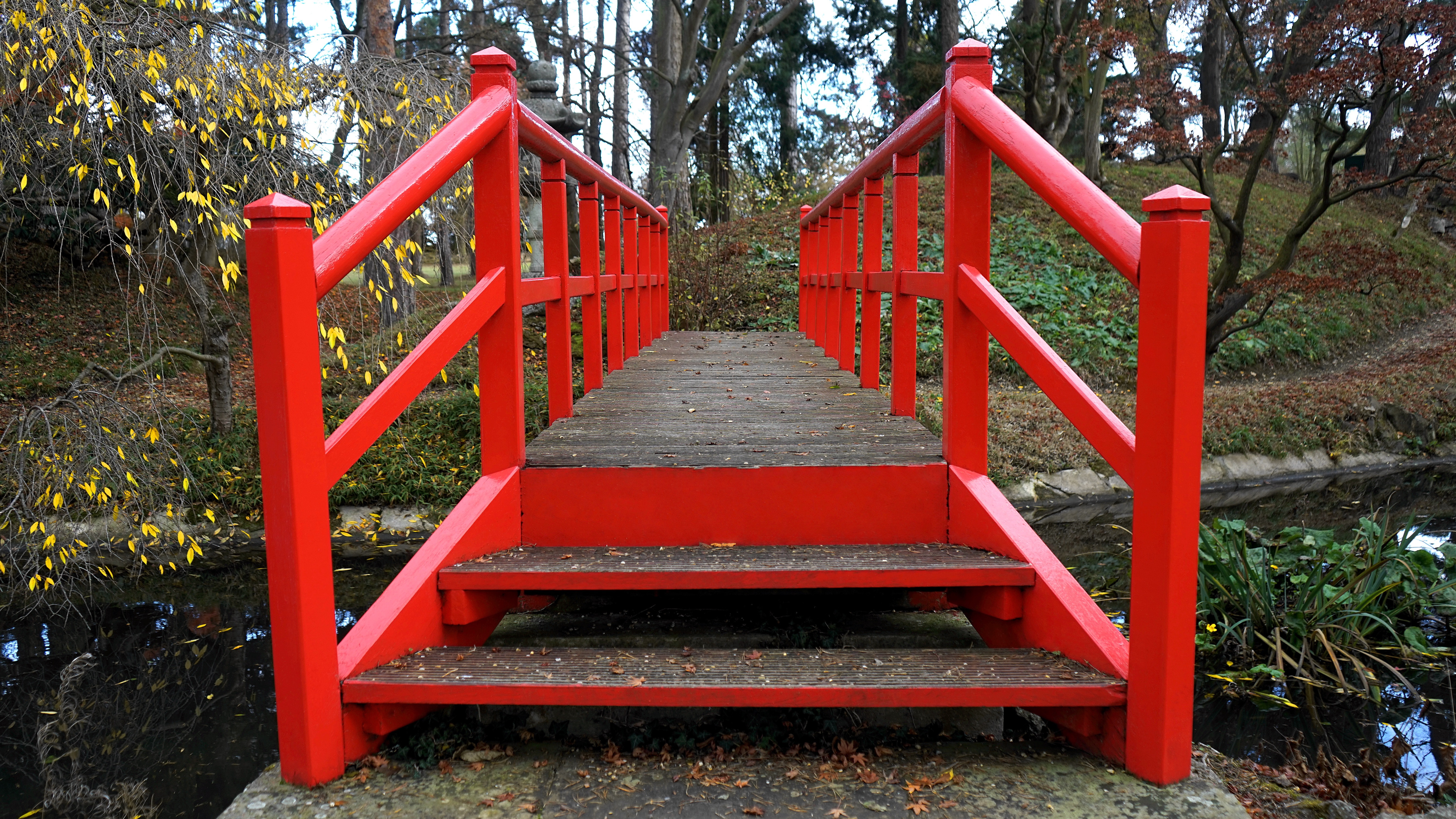 Park Background