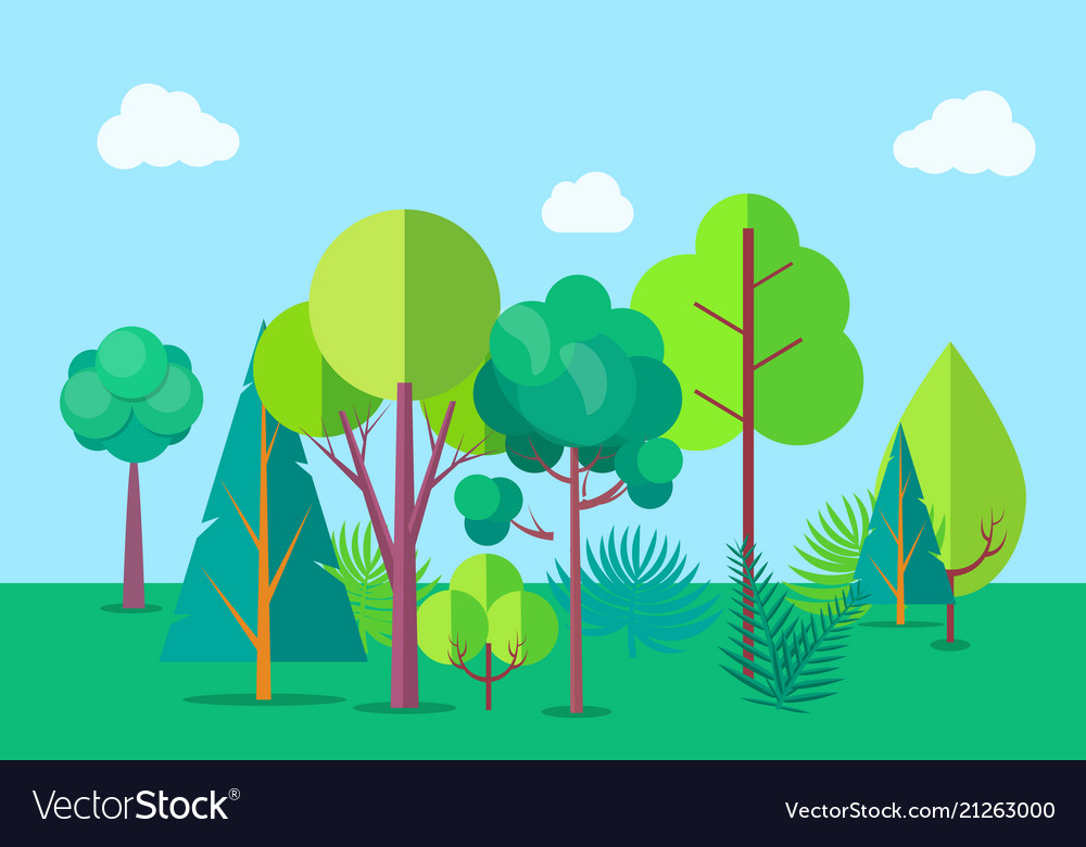 Peaceful Forest Background