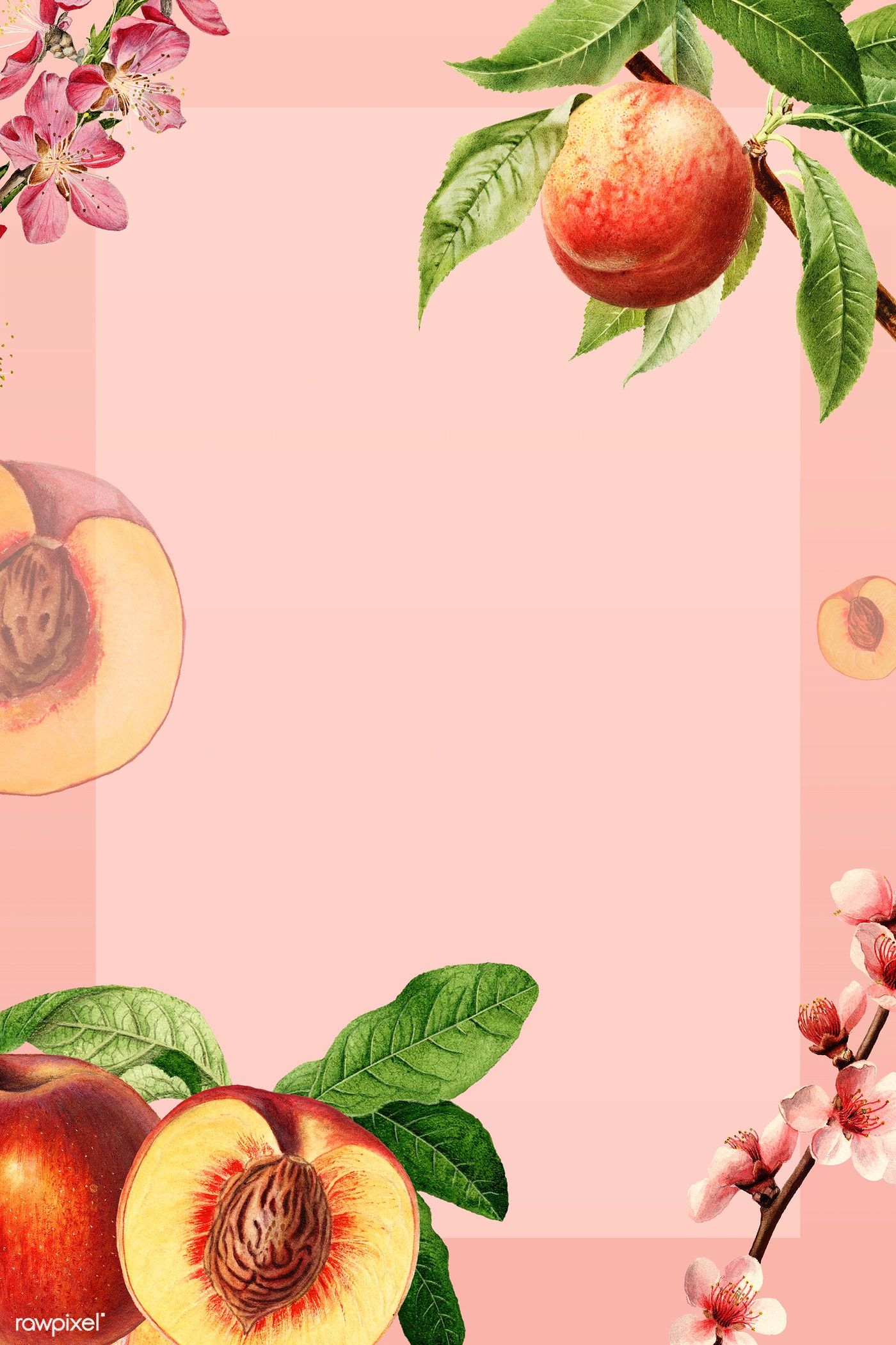 Peach Fruit Background