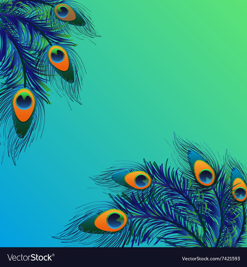 Peacock Backgrounds