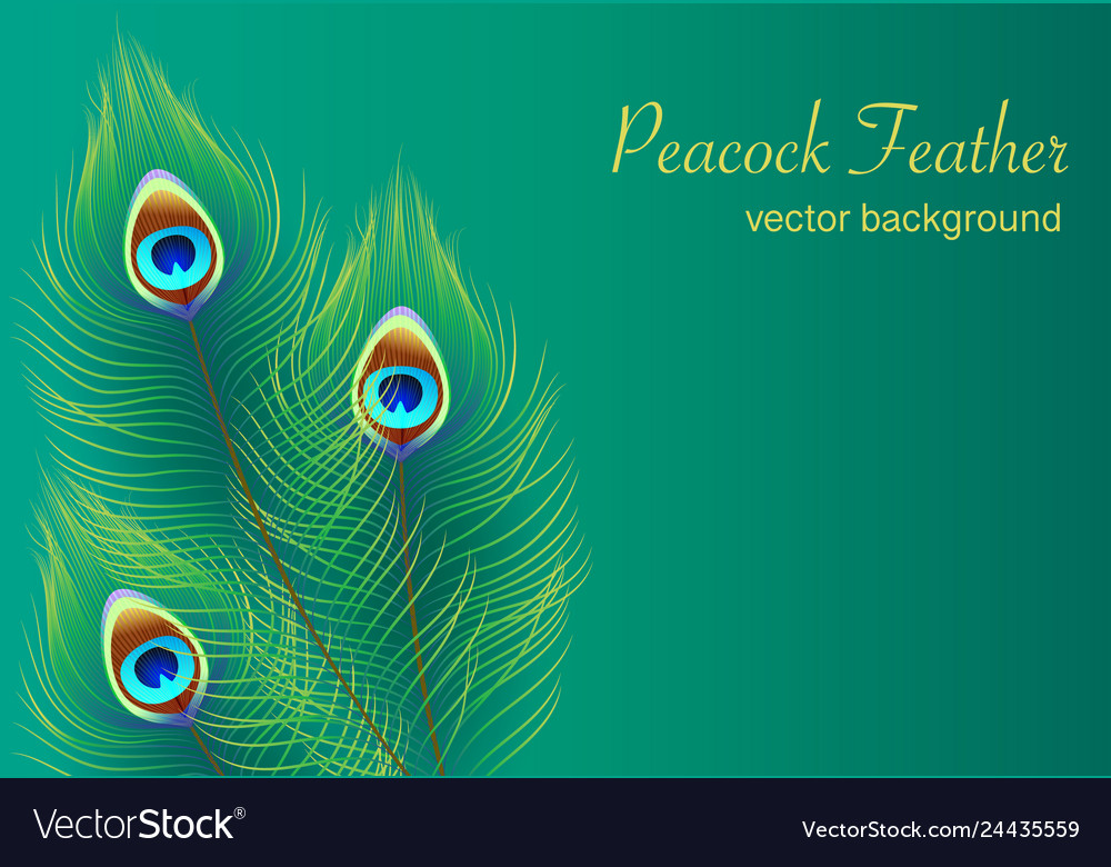 Peacock Backgrounds