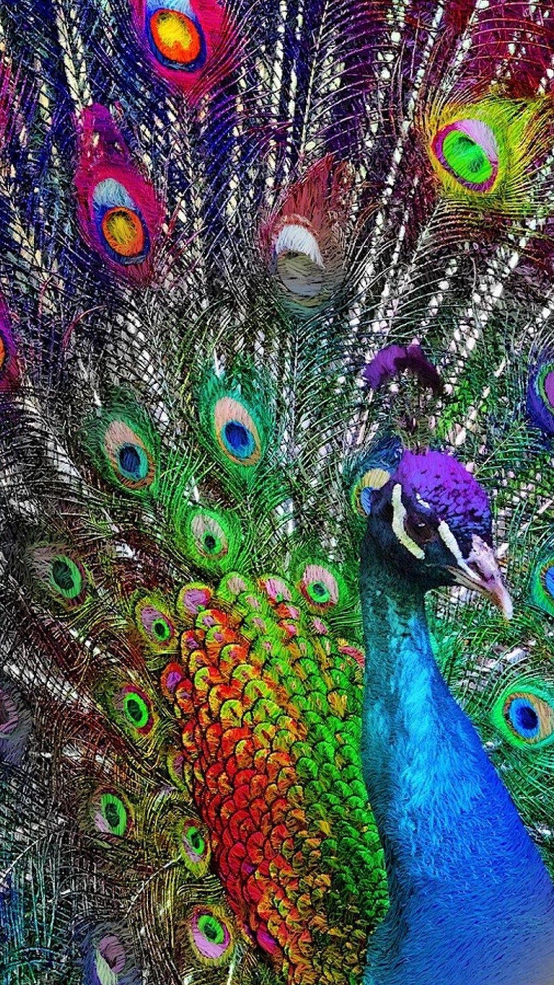 Peacock Backgrounds