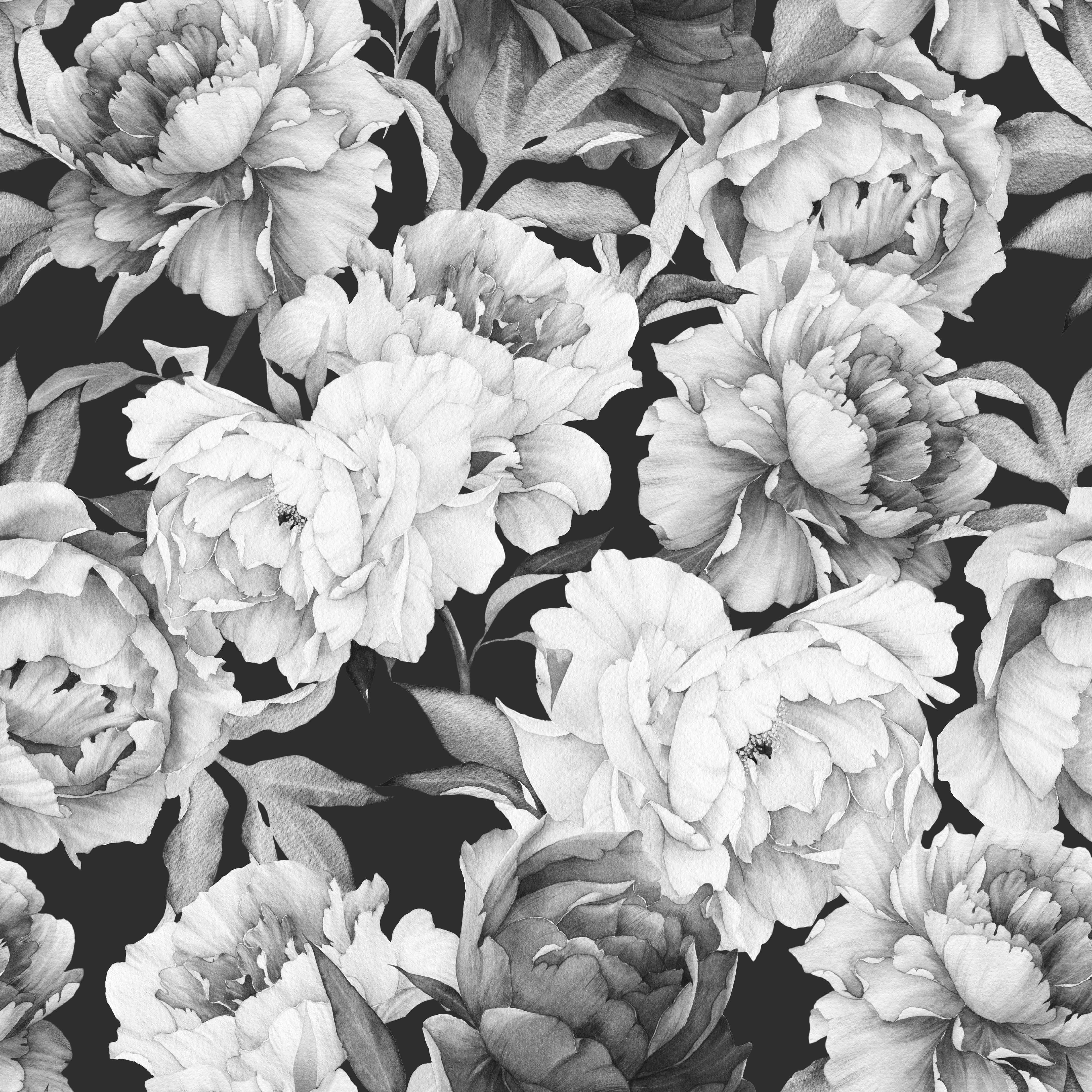 Peony Background