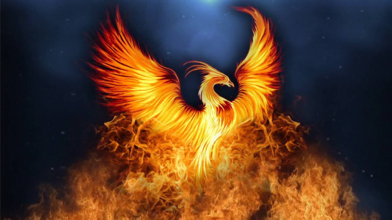 Pheonix Background