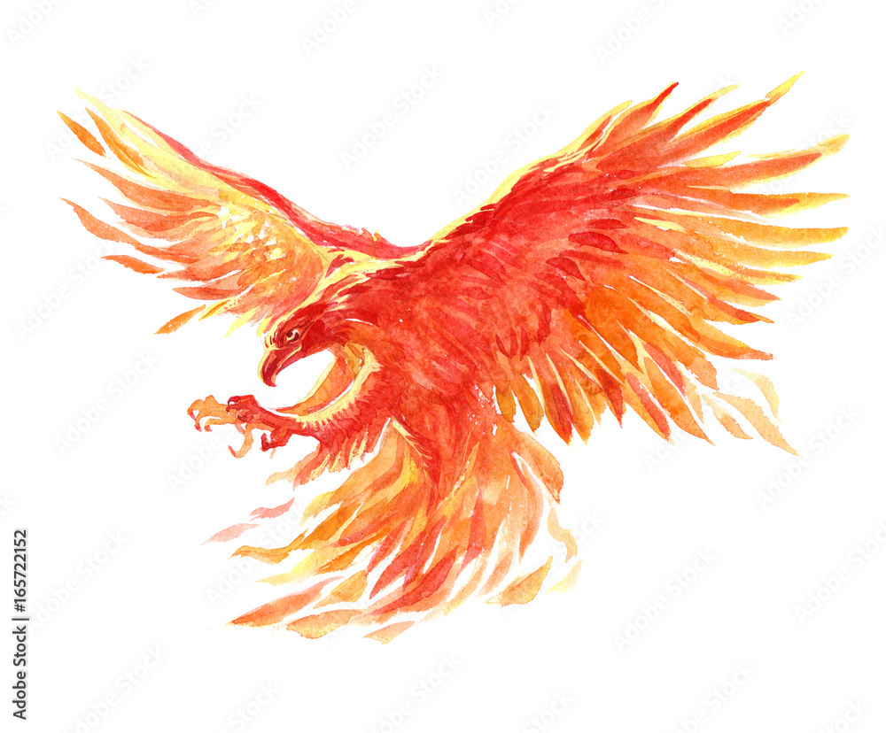 Pheonix Background