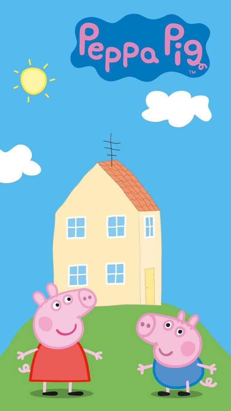 Pig Backgrounds