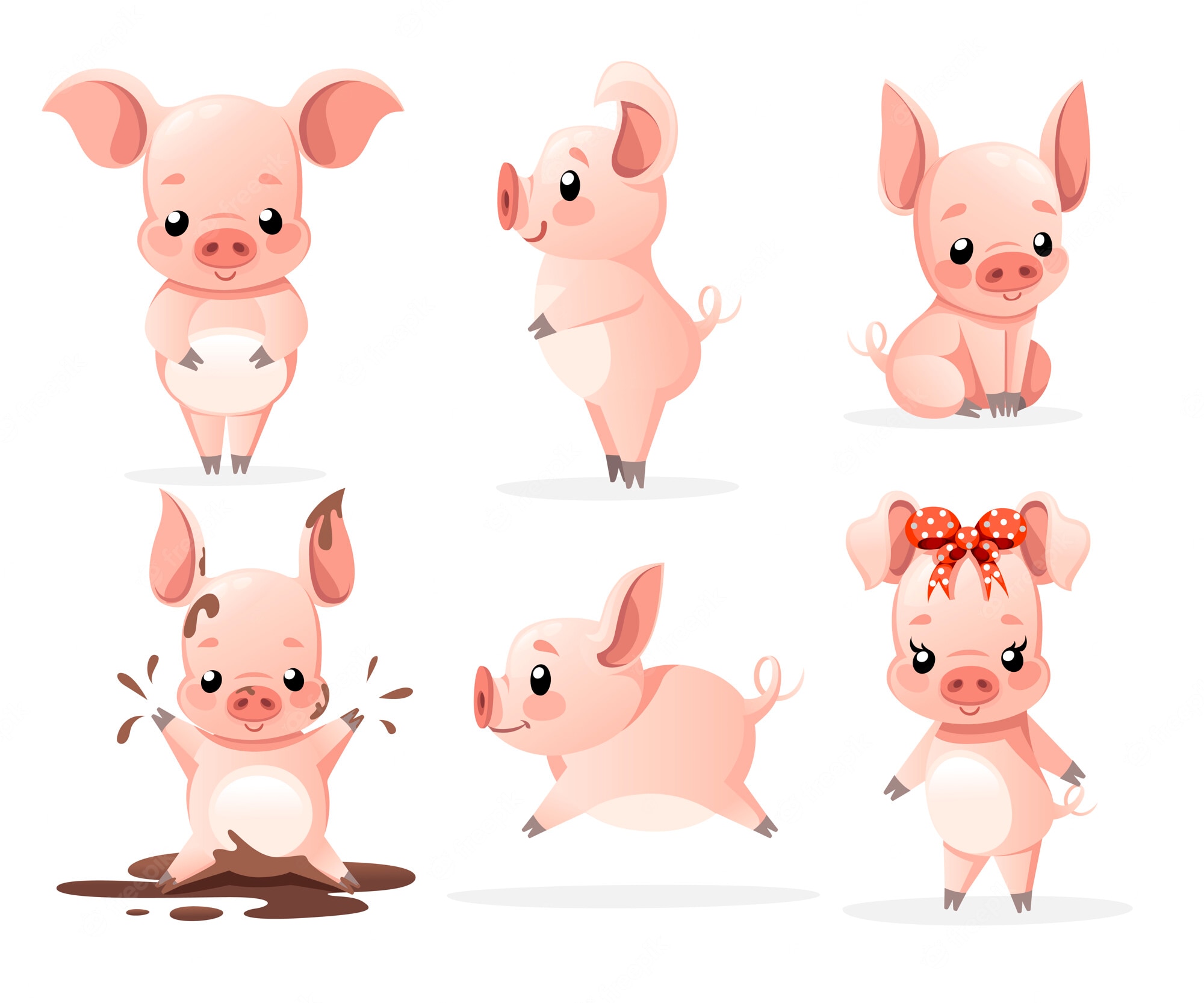 Pigs Backgrounds