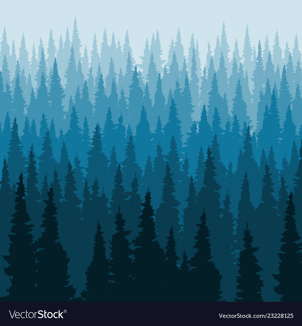 Pine Tree Forest Background