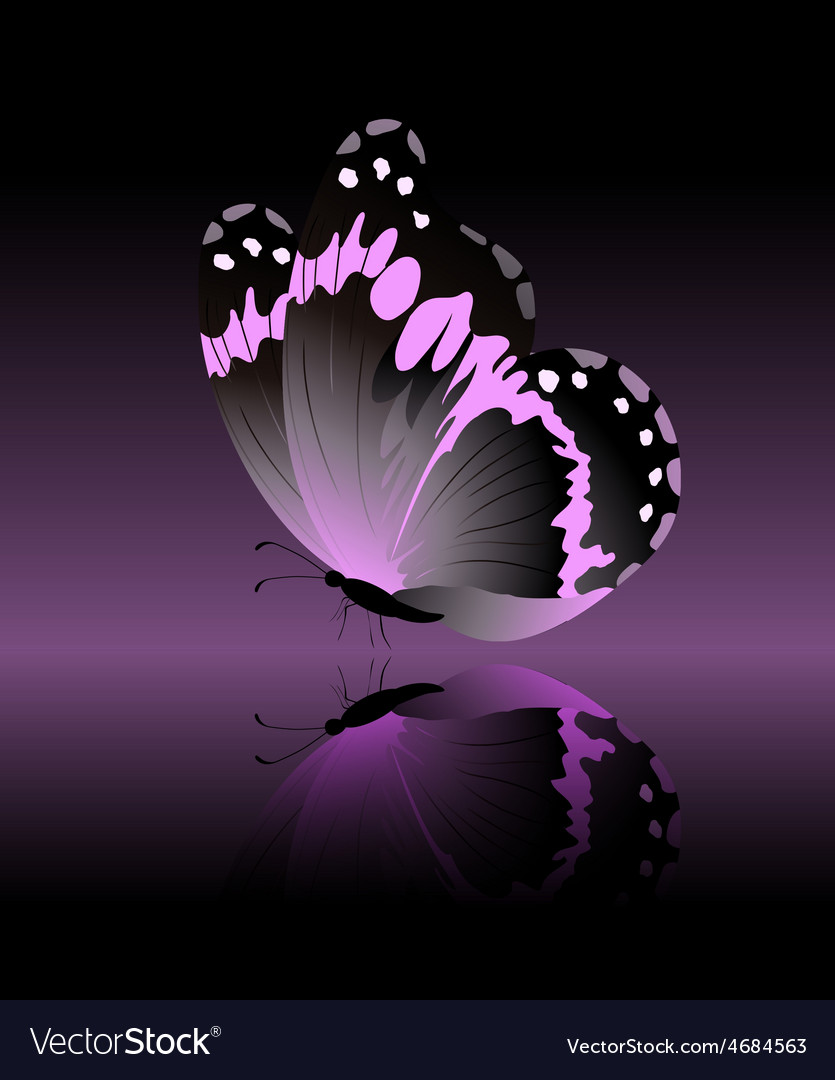 Pink Butterfly With Black Background