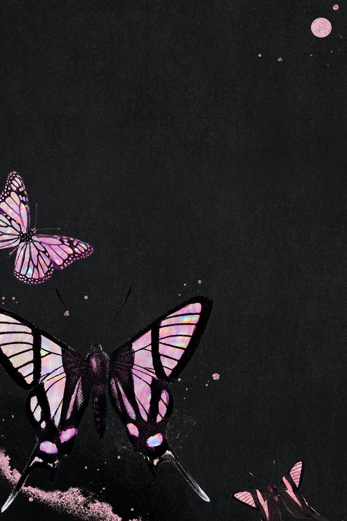 Pink Butterfly With Black Background