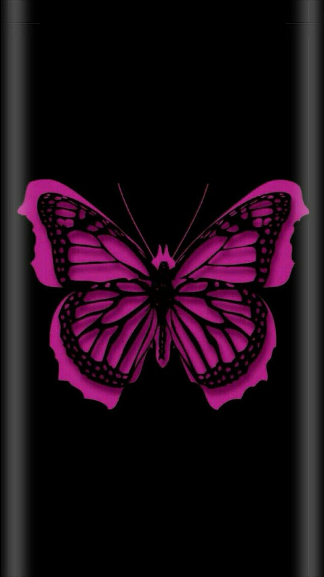 Pink Butterfly With Black Background