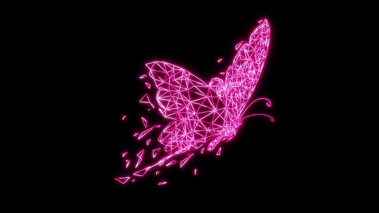 Pink Butterfly With Black Background