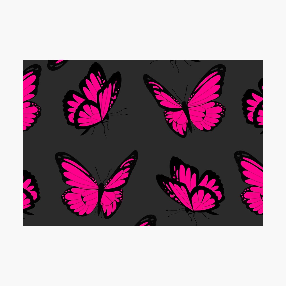 Pink Butterfly With Black Background