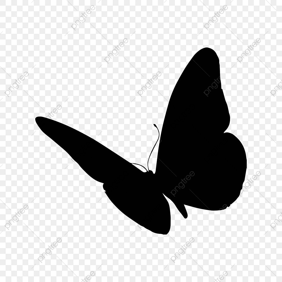 Pink Butterfly With Black Background