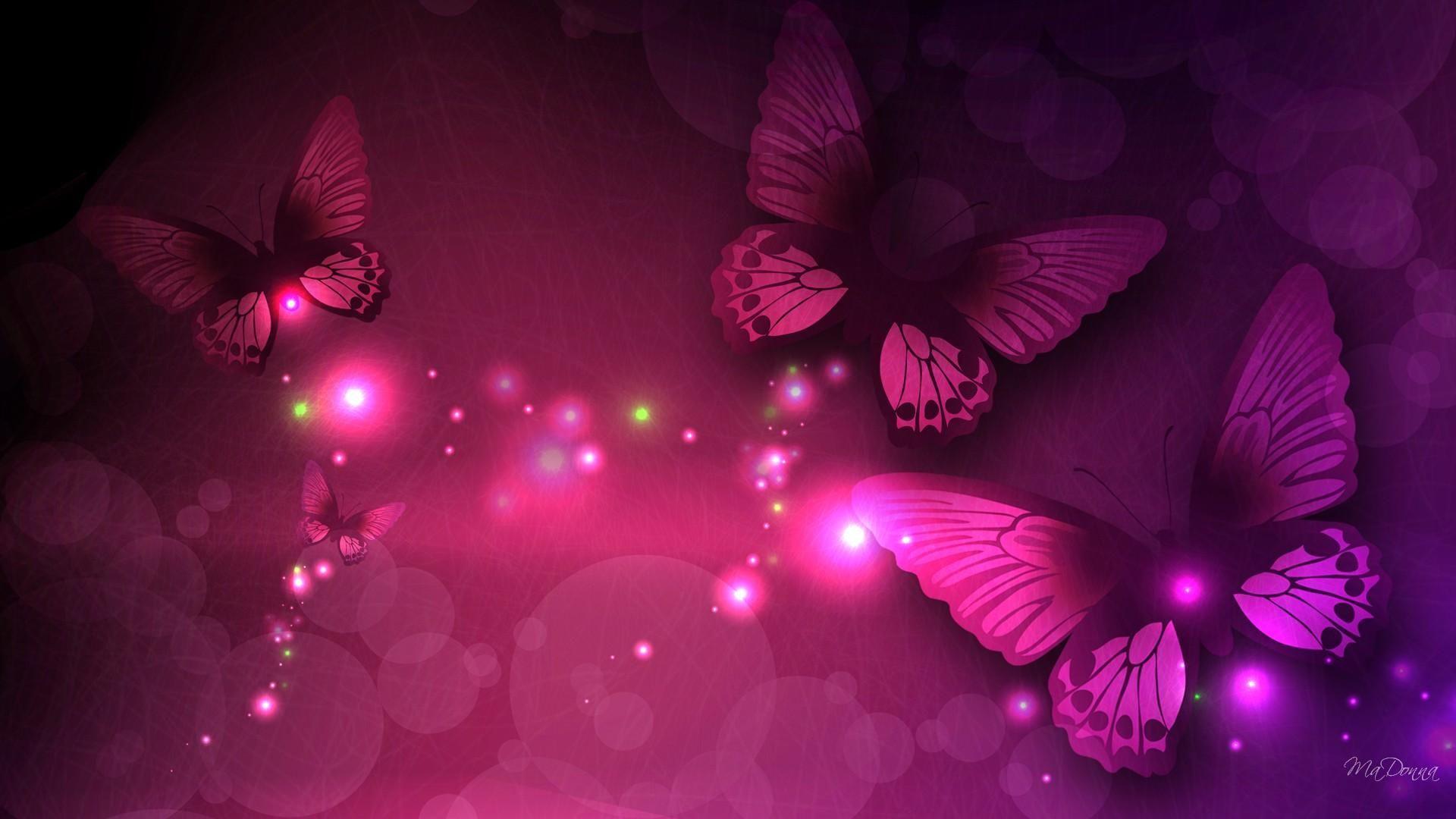 Pink Butterfly With Black Background