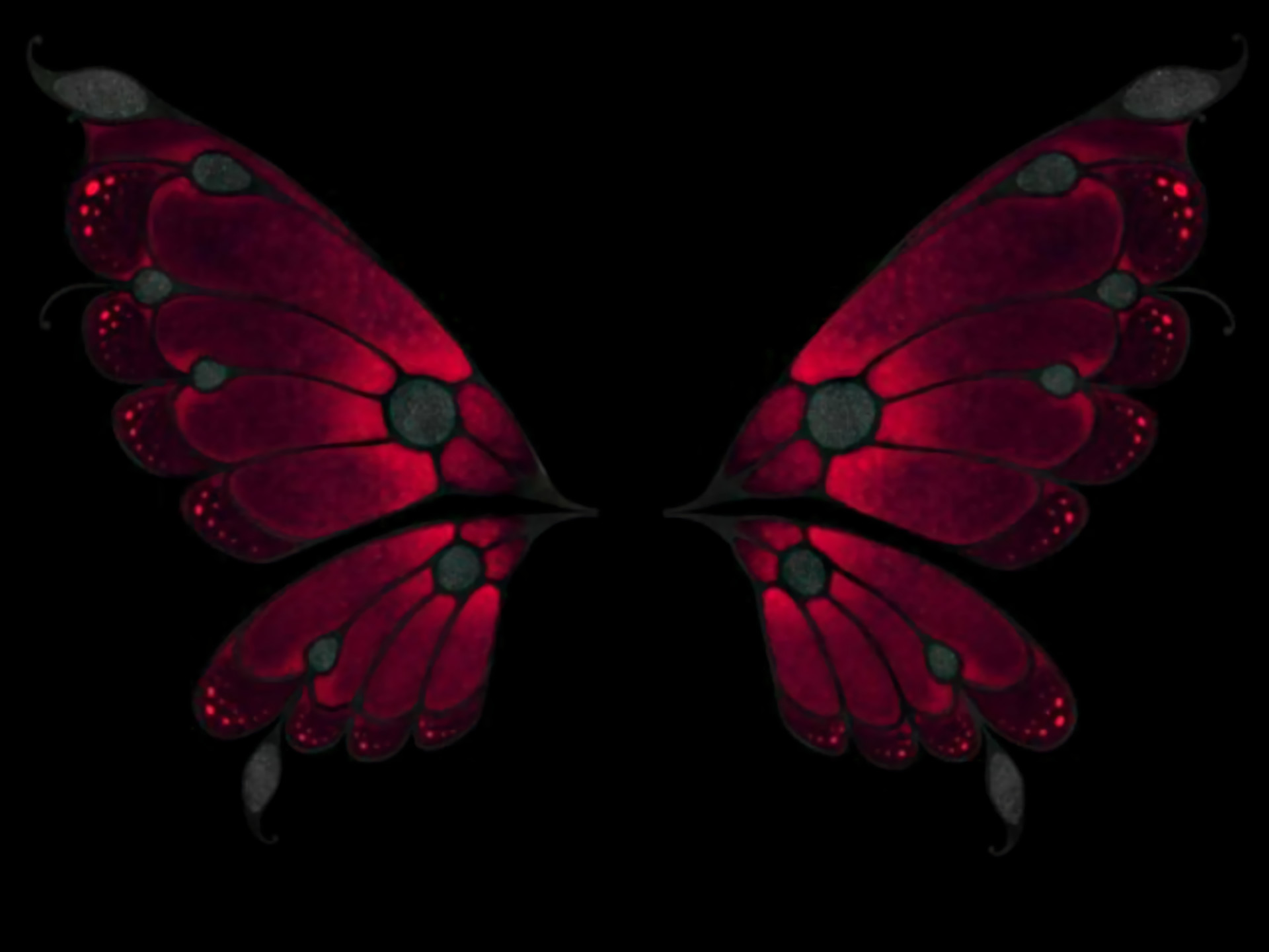 Pink Butterfly With Black Background