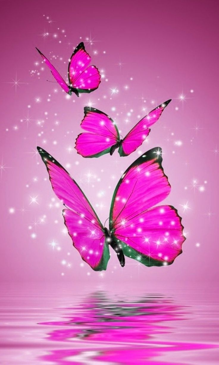 Pink Butterfly With Black Background