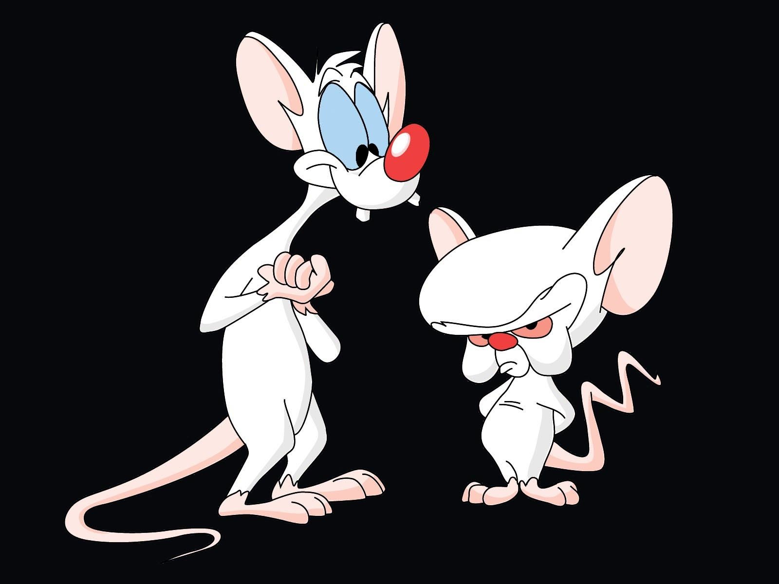 Pinky And The Brain Background