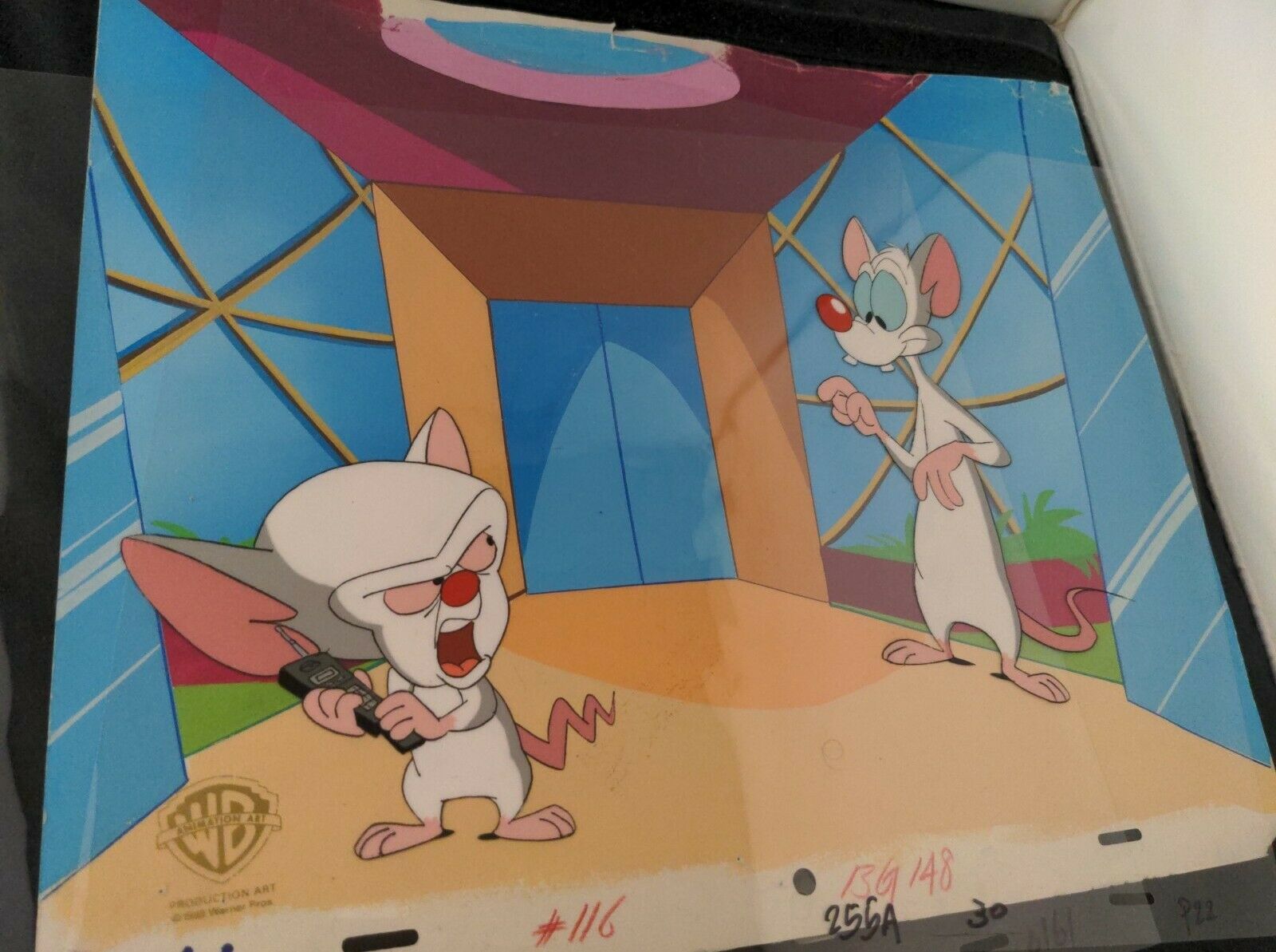 Pinky And The Brain Background