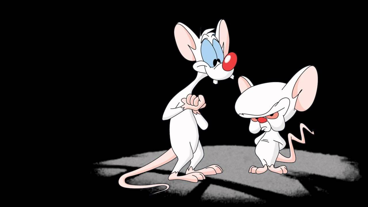 Pinky And The Brain Background