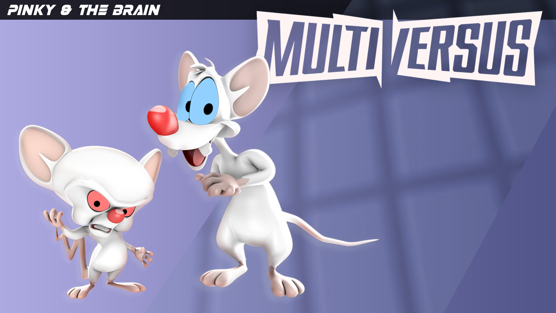 Pinky And The Brain Background