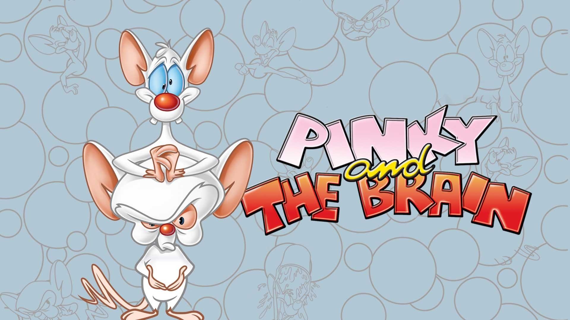 Pinky And The Brain Background