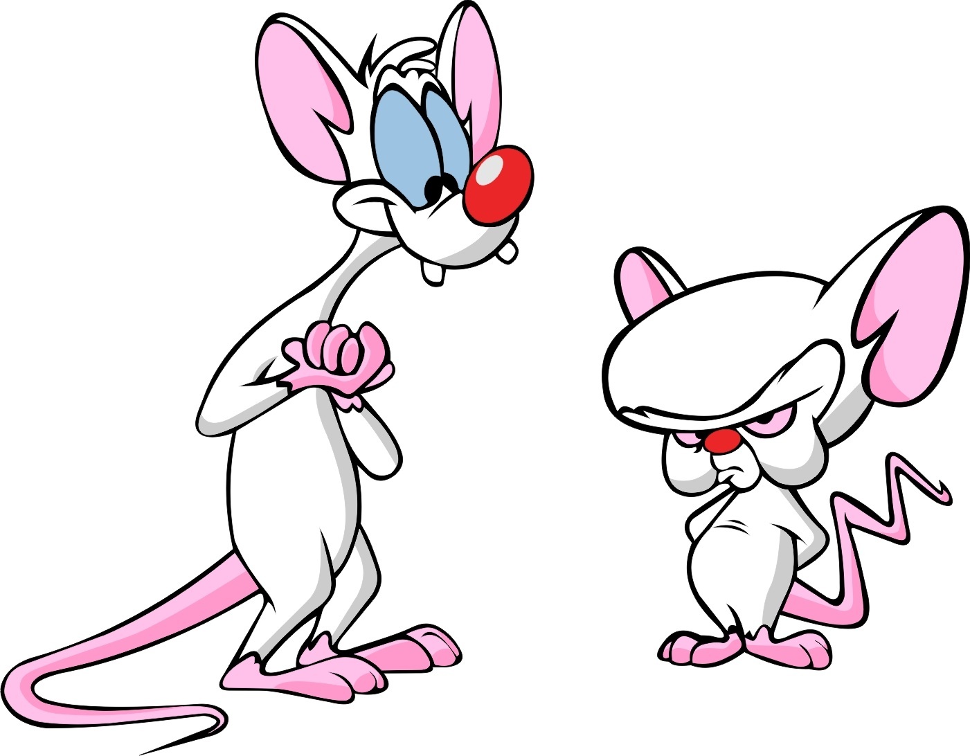 Pinky And The Brain Background