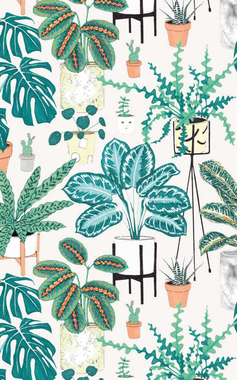 Plant Desktop Background