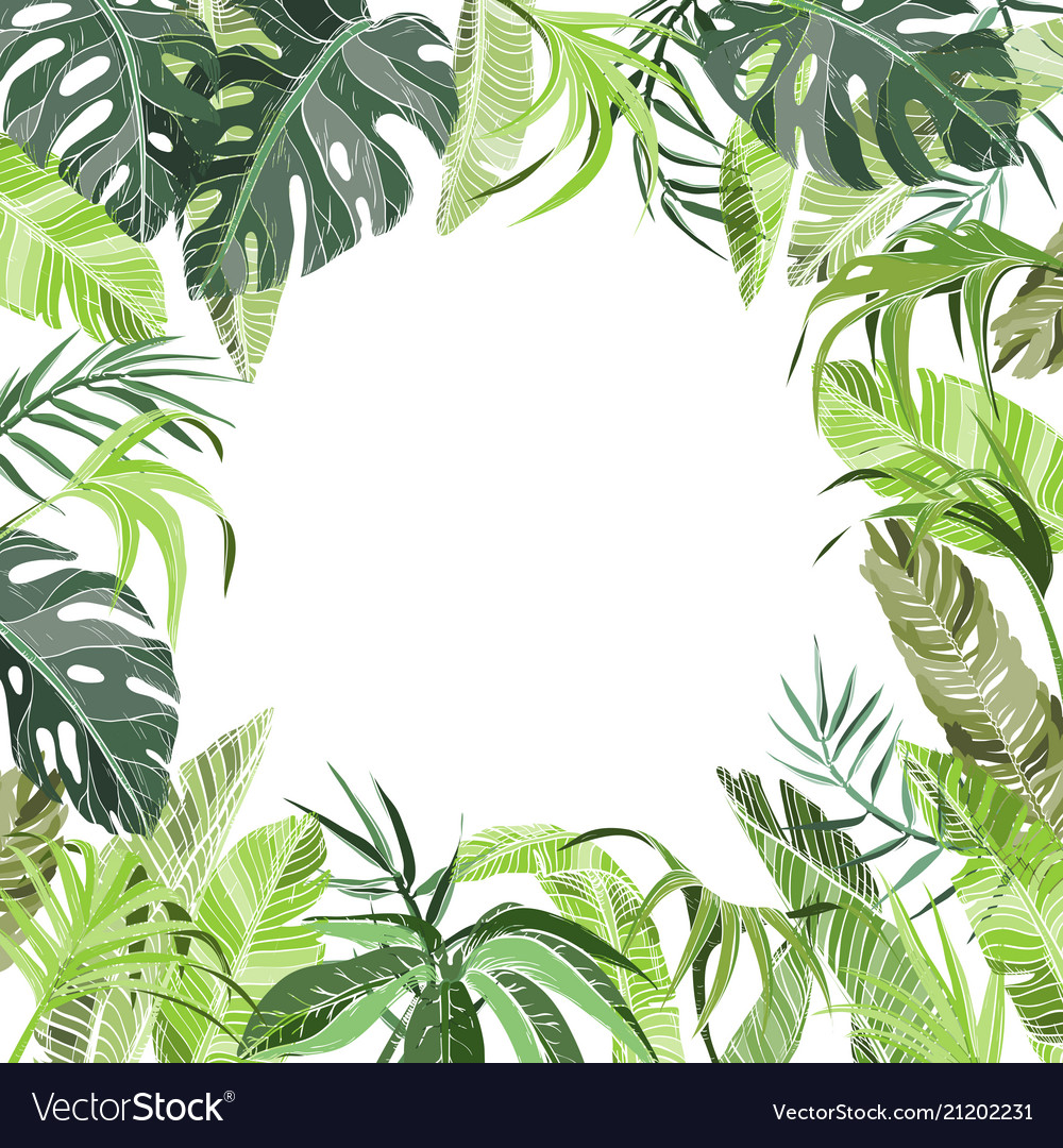 Plants Background