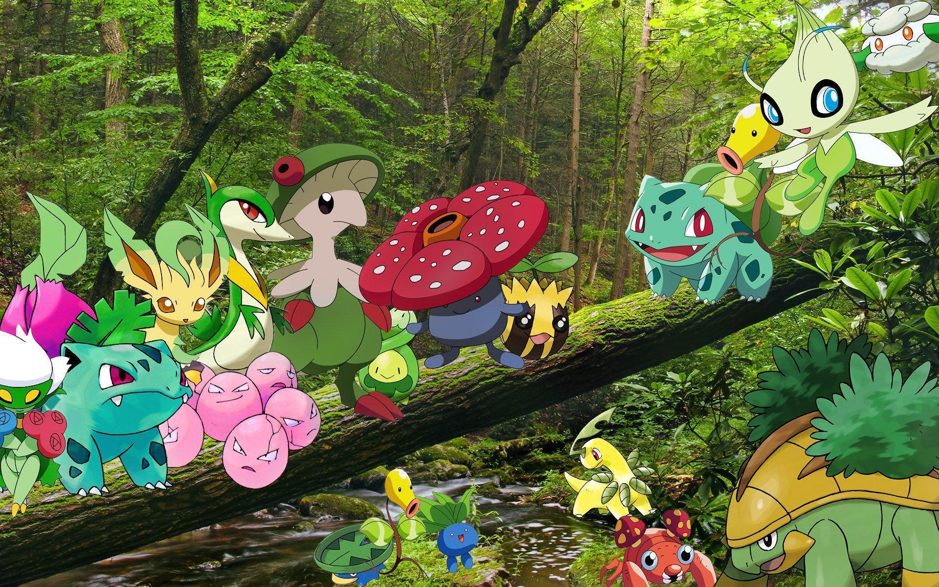 Pokemon Grass Background