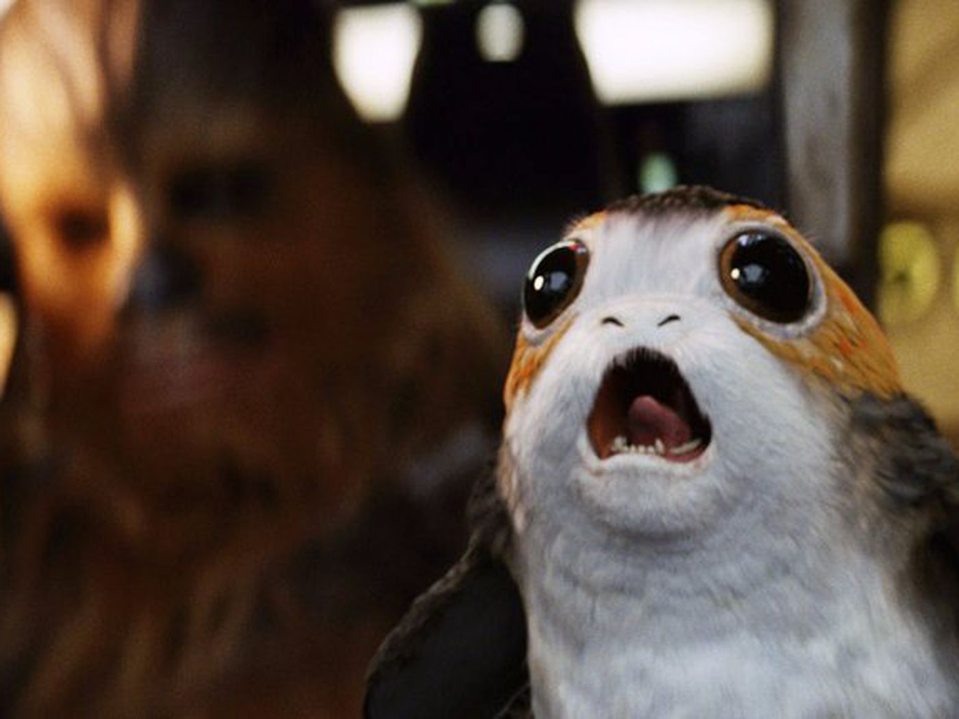 Porg Background