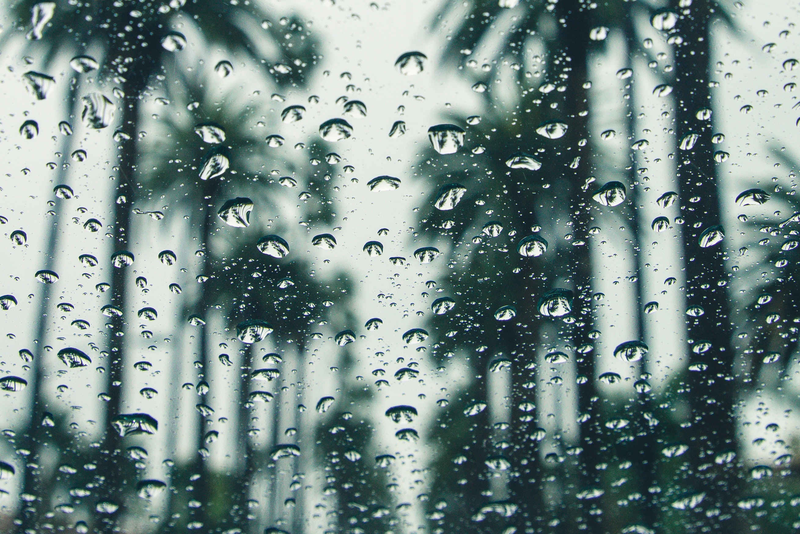 Rain Background