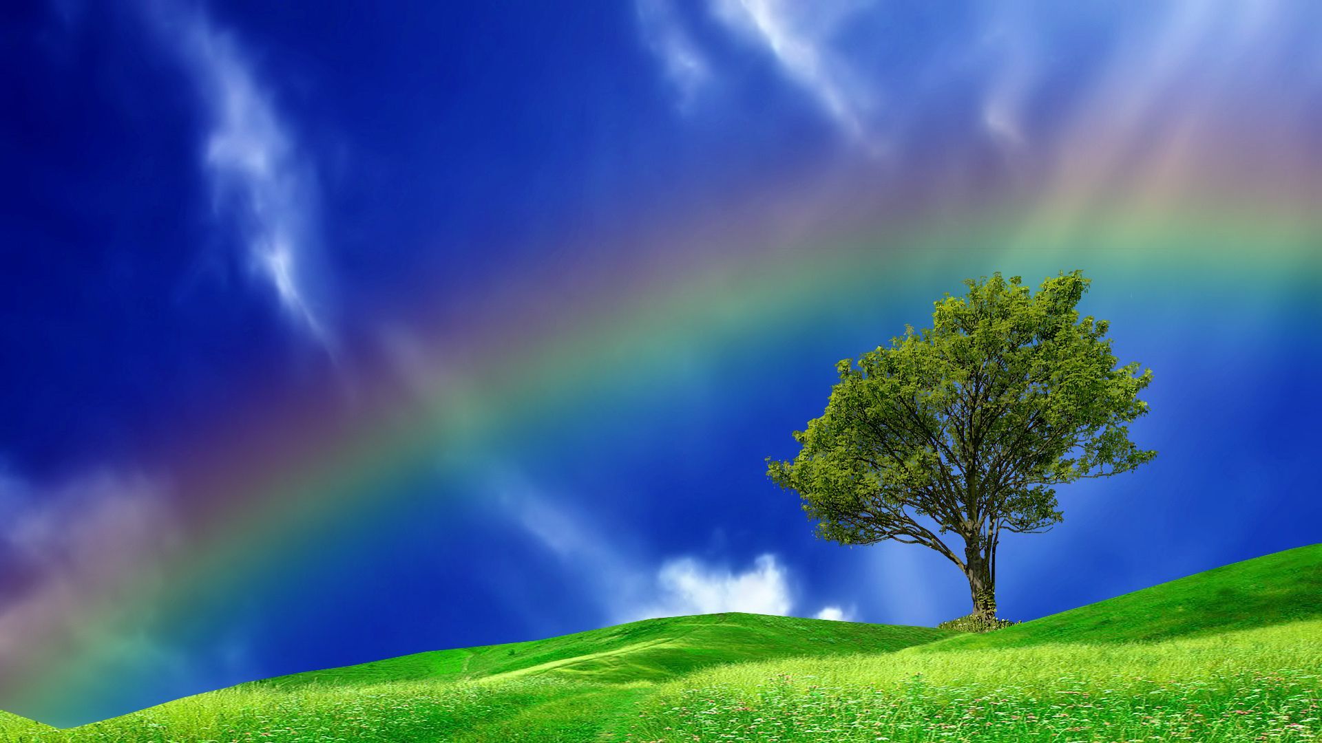 Rainbow Desktop Background