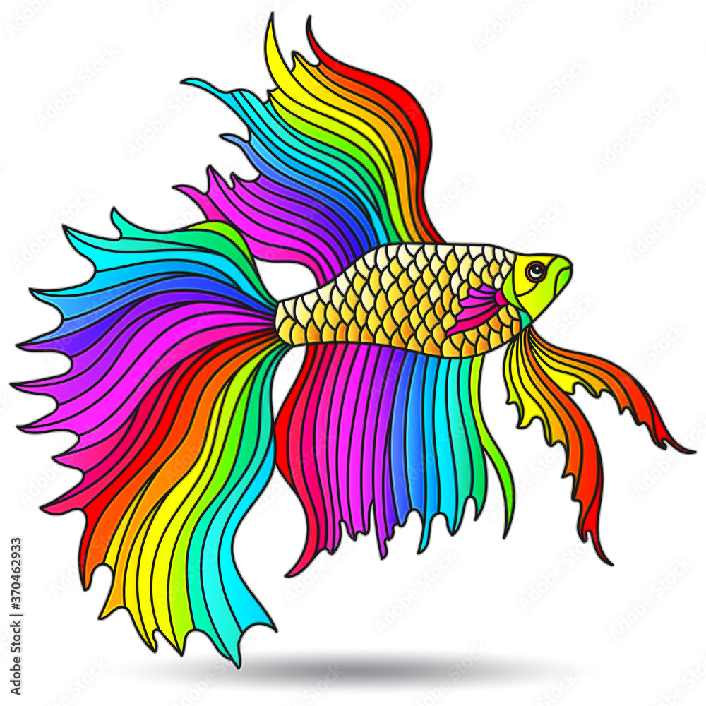 Rainbow Fish Background