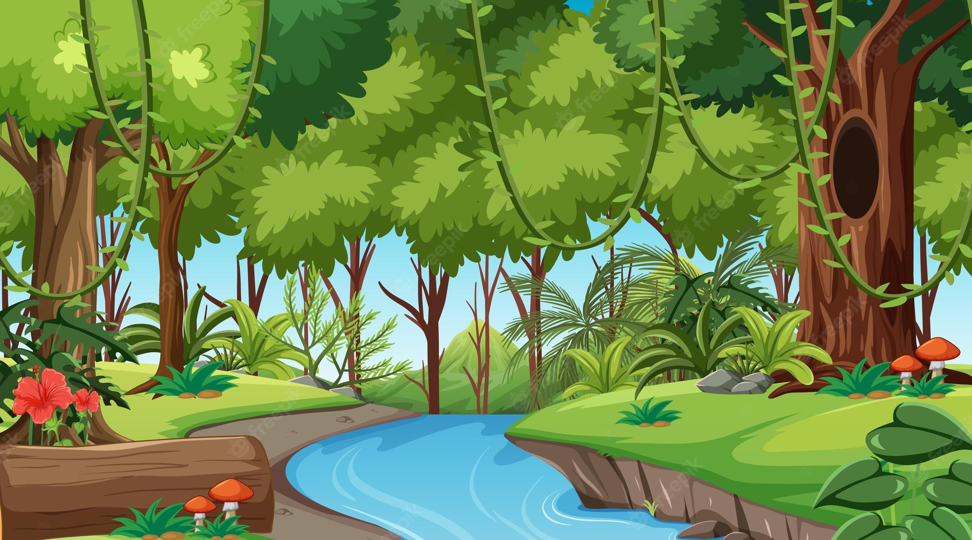 Rainforest Backgrounds