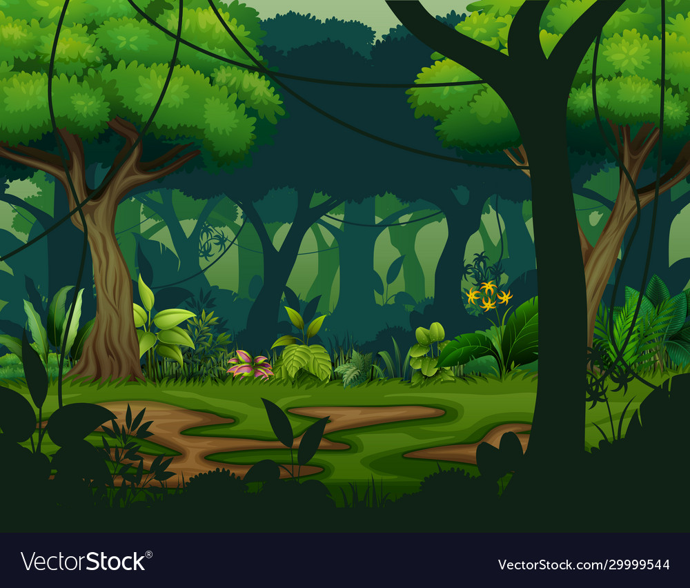 Rainforest Backgrounds