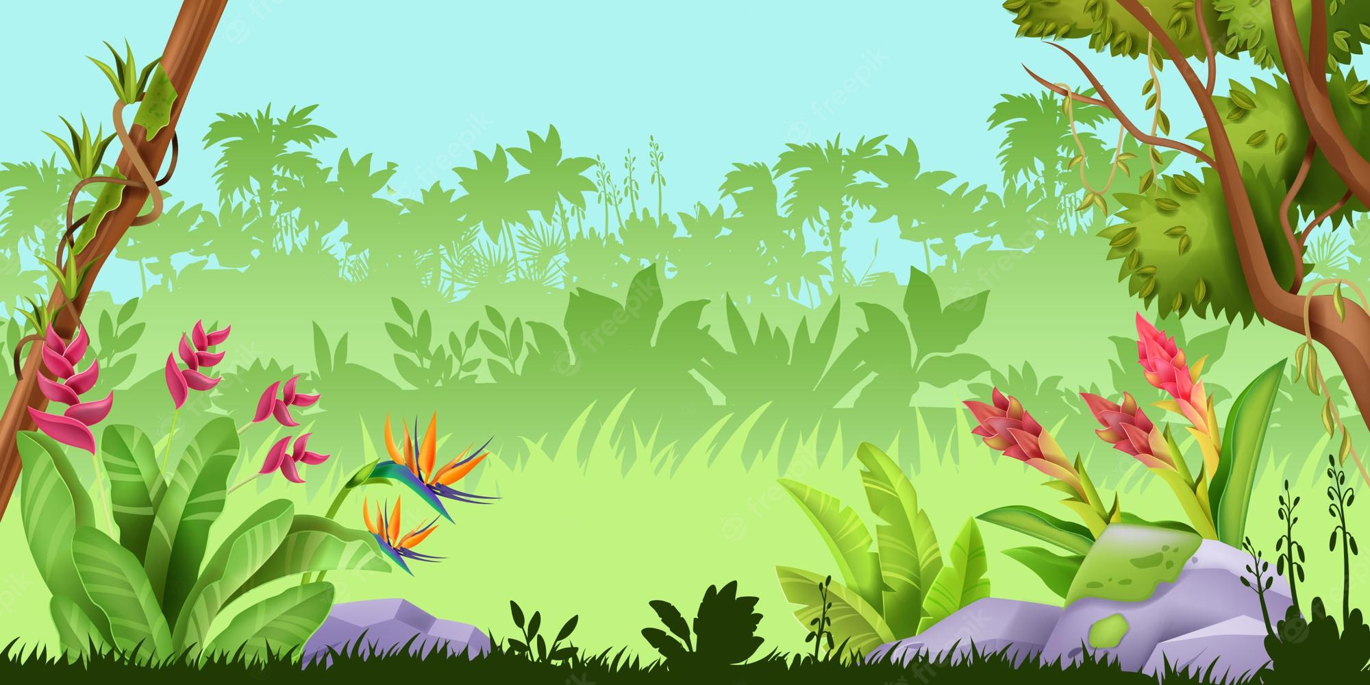 Rainforest Backgrounds