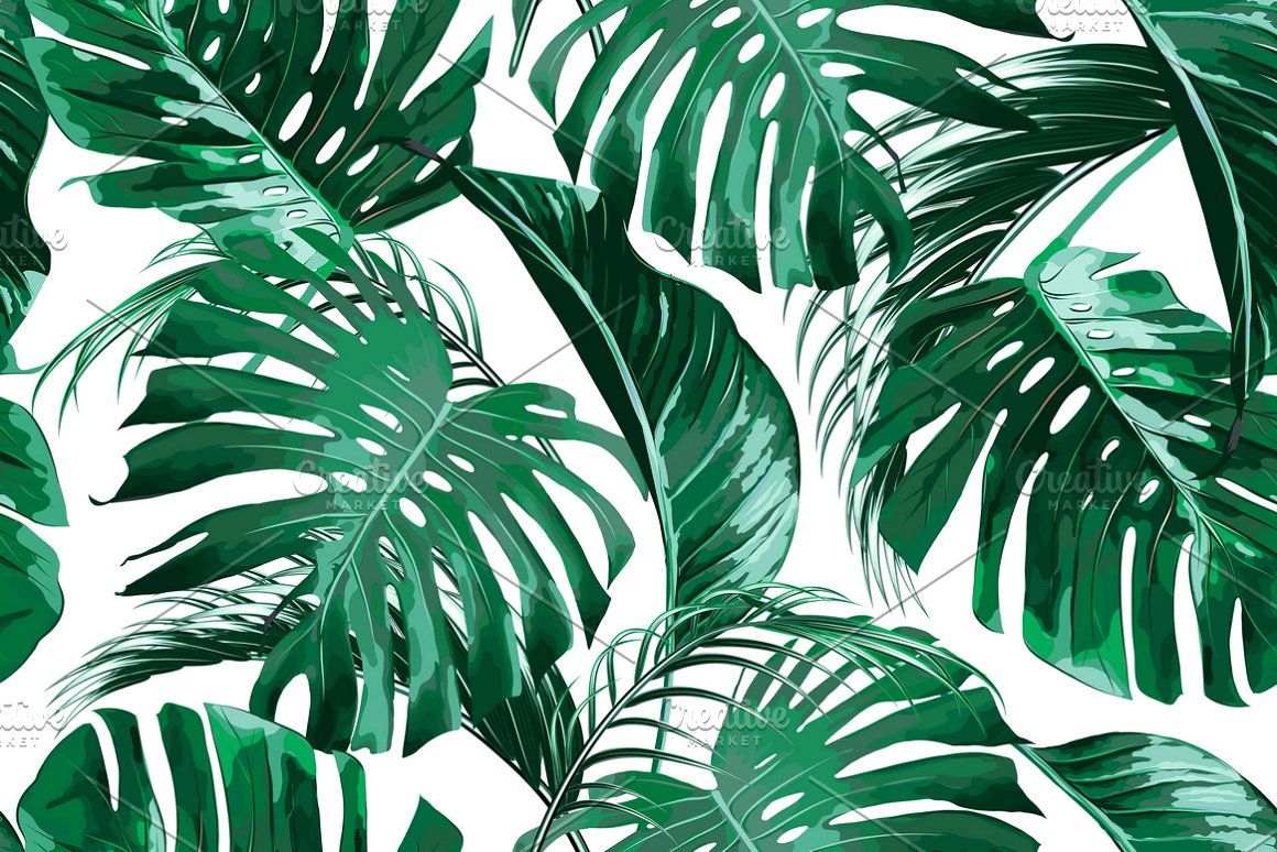 Rainforest Leaves Background