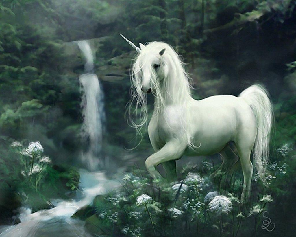 Real Unicorn Backgrounds
