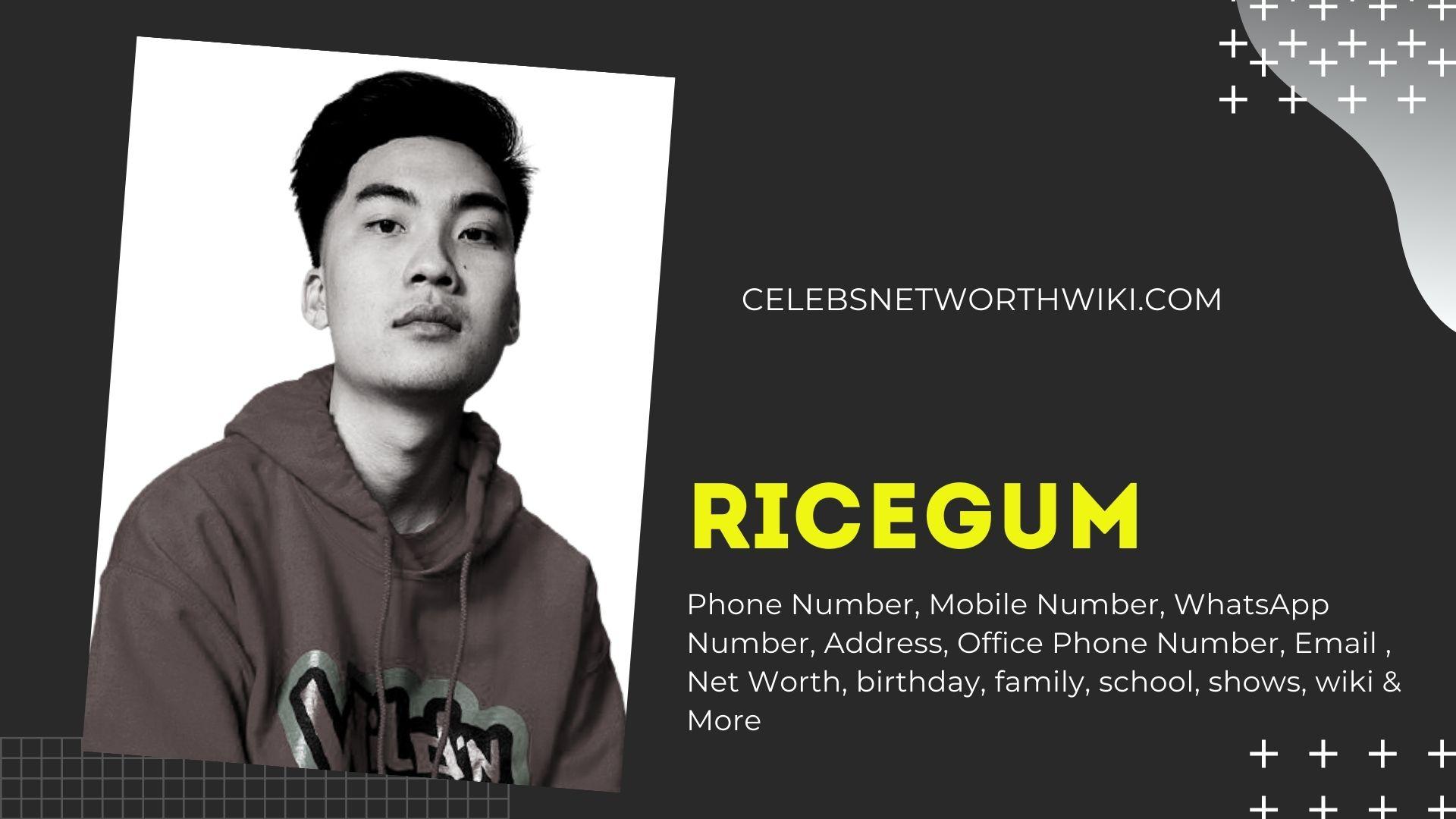 Ricegum Background