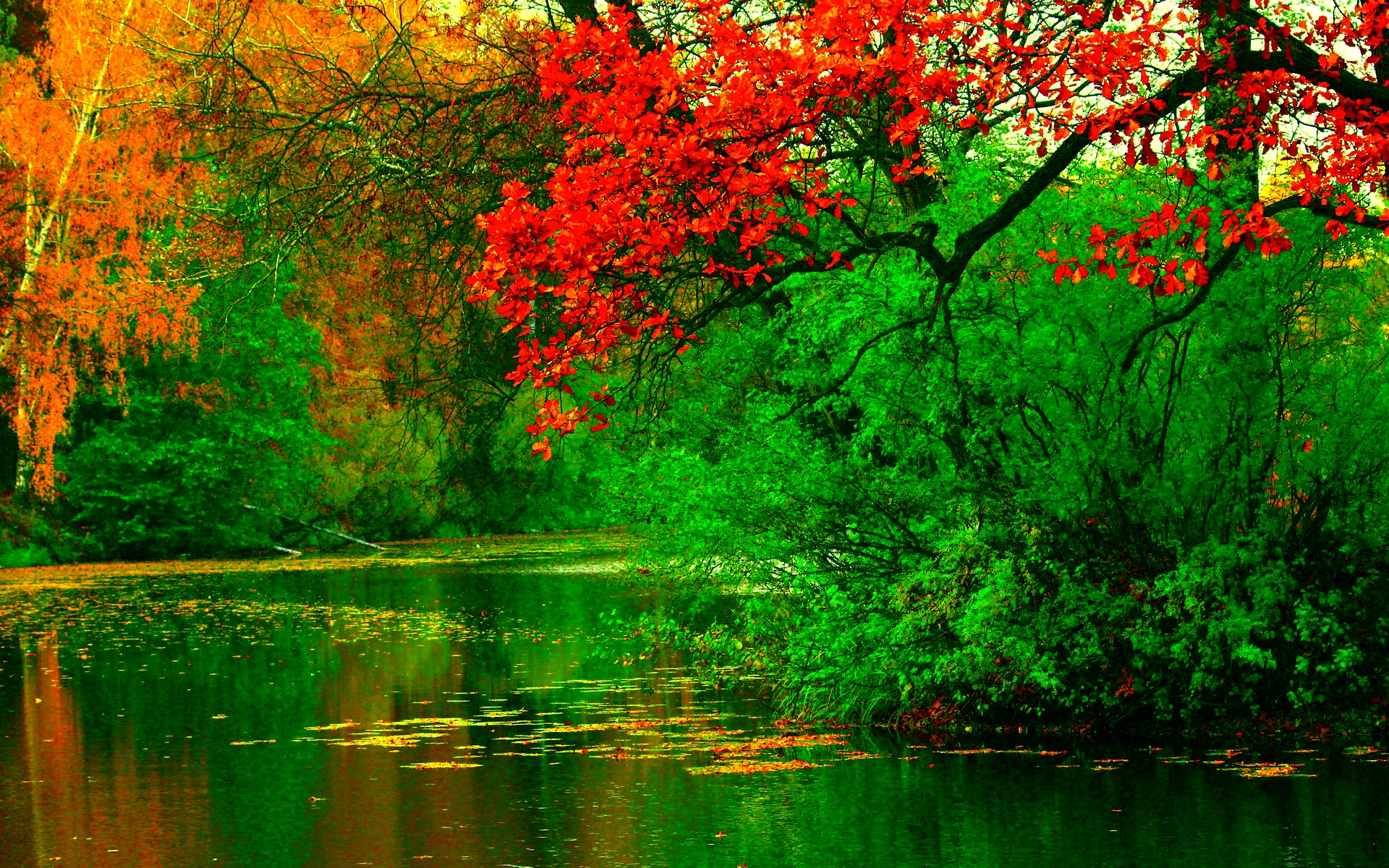 River Backgrounds