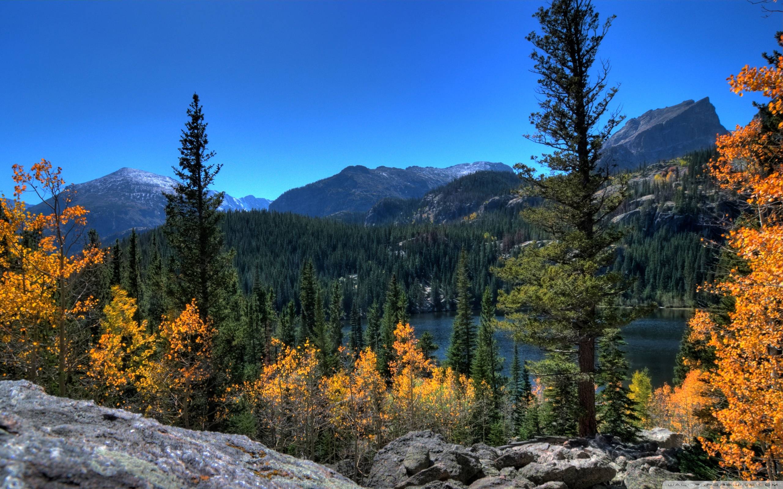 Rocky Mountains Background