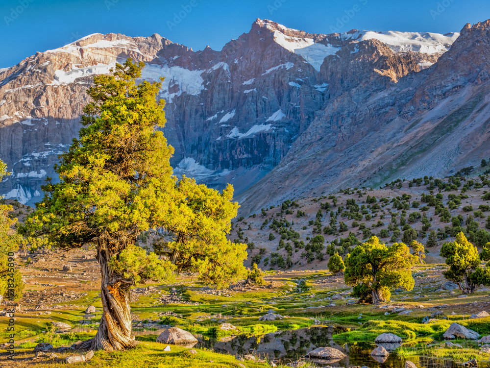 Rocky Mountains Background