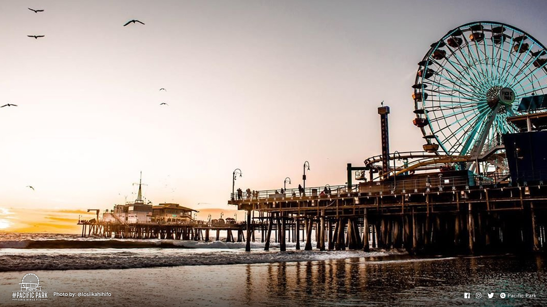 Santa Monica Zoom Background