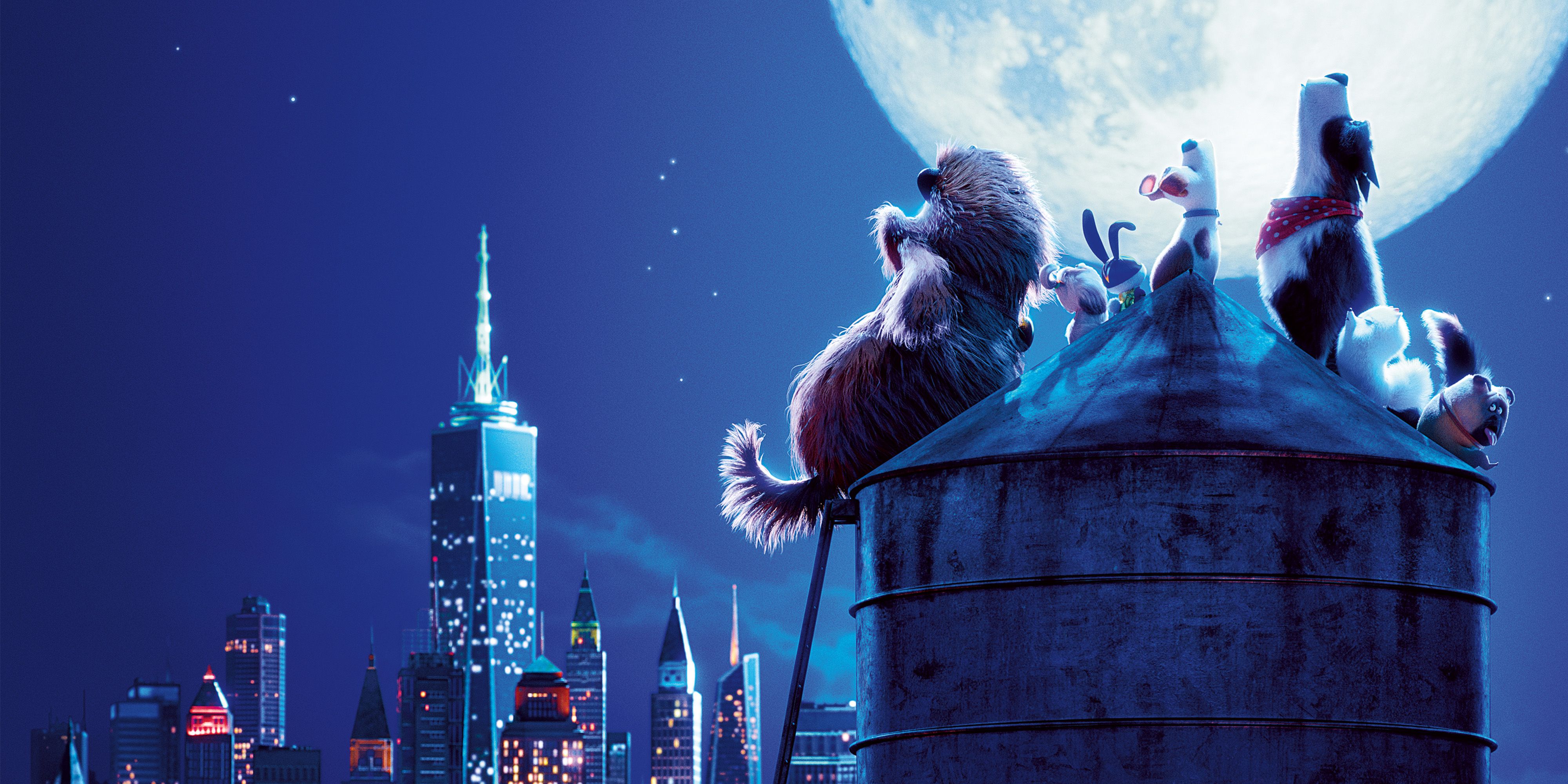 Secret Life Of Pets Background