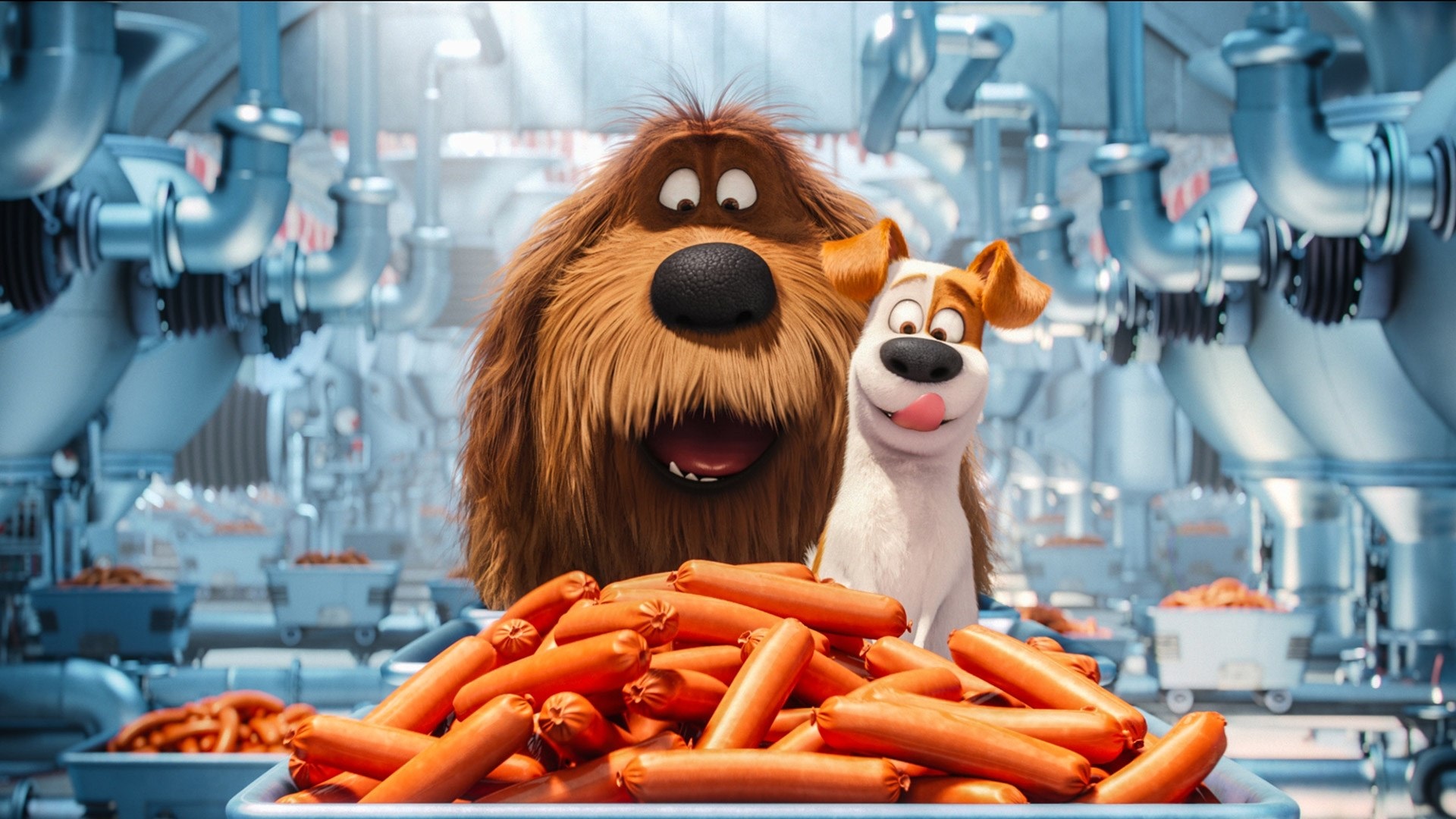 Secret Life Of Pets Background